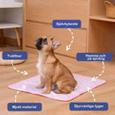 🧊Kylmatta för hundar (4x effektivare)