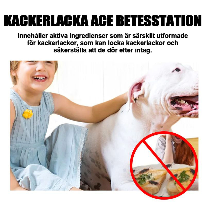 Kackerlacka Bait Station