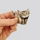 🐱 Papier pliable 5 minutes (50 pièces) : sans colle ni ciseaux