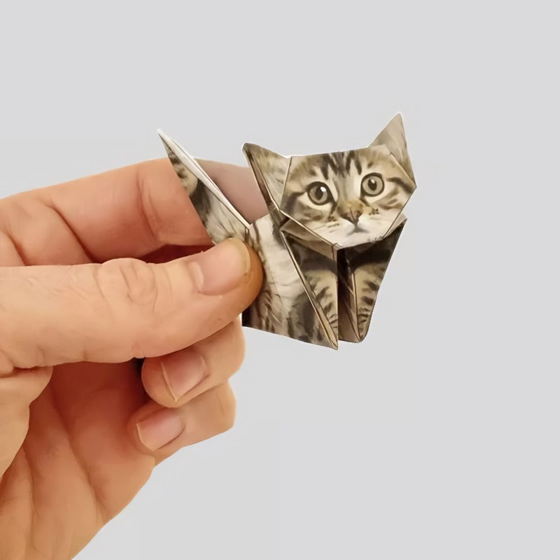 🐱 Papier pliable 5 minutes (50 pièces) : sans colle ni ciseaux