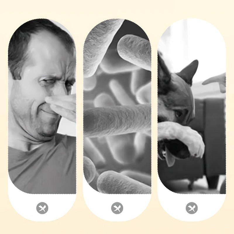 Kraftfull Luktspray för Husdjur