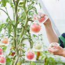 Skyddande påsar för frukt och grönsaker