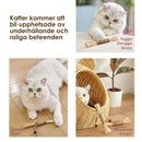 Naturlig Silvervine pinne tuggleksak för katter