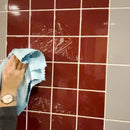 Icke-märkande disktrasa av fiskfjällsfiber