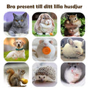 Naturlig Silvervine pinne tuggleksak för katter