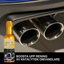 Rengöringsmedel för katalysatorer