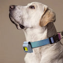 Magnetisk Cob-arbetslampa