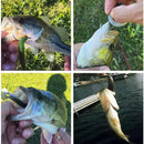 Mjuka beten med flera segment