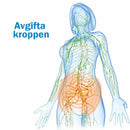 Graphene magen shaper utan spår