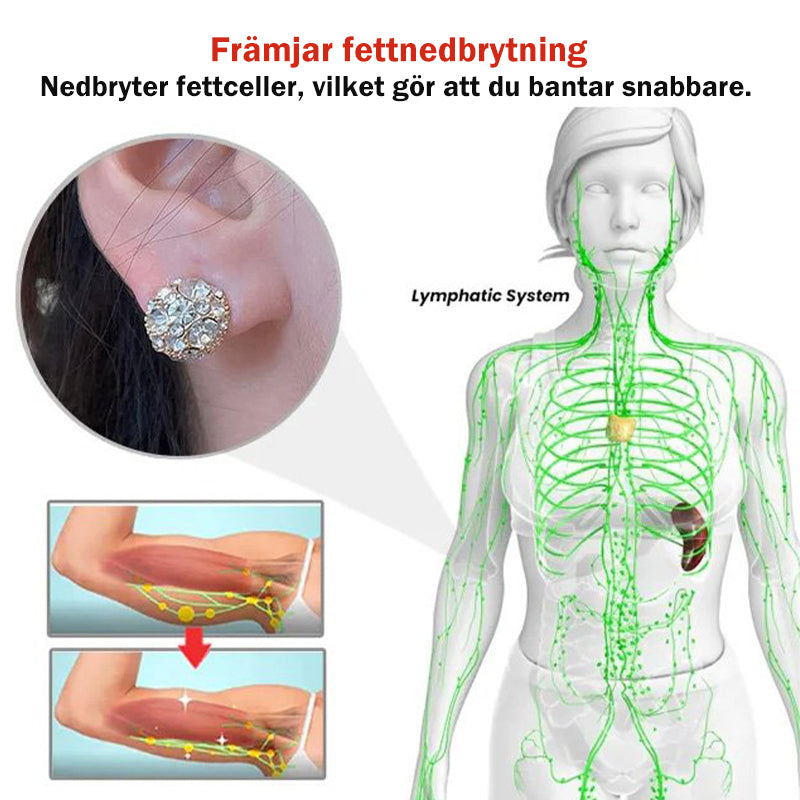 Super glänsande magnetiska örhängen