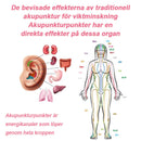 Lymphvity MagneTherapy Germanium örhängen