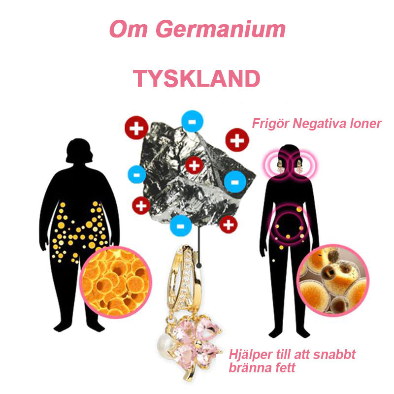 Lymphvity MagneTherapy Germanium örhängen